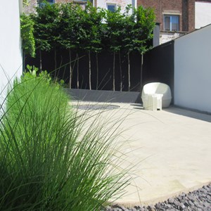 tuinarchitect-tuinarchitectuur-tuinen-tuinontwerp